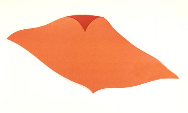 Wandst�ck (Rochen)